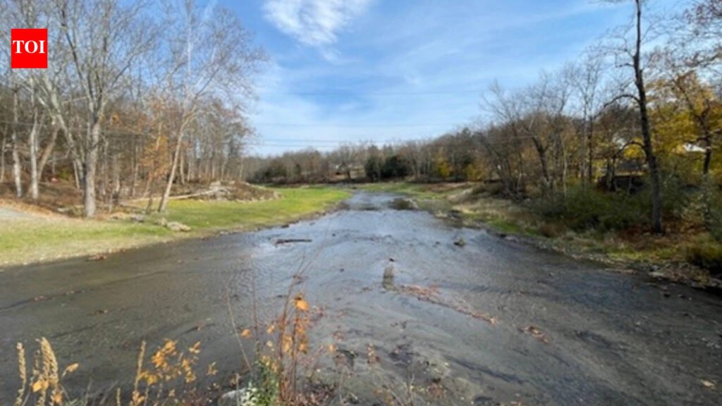 In 2019, New Jersey completed the removal of the old Columbia Dam and reopened about 14 km of river; a 2026 study found juvenile eels, sea lampreys and American shad upstream after years of monitoring