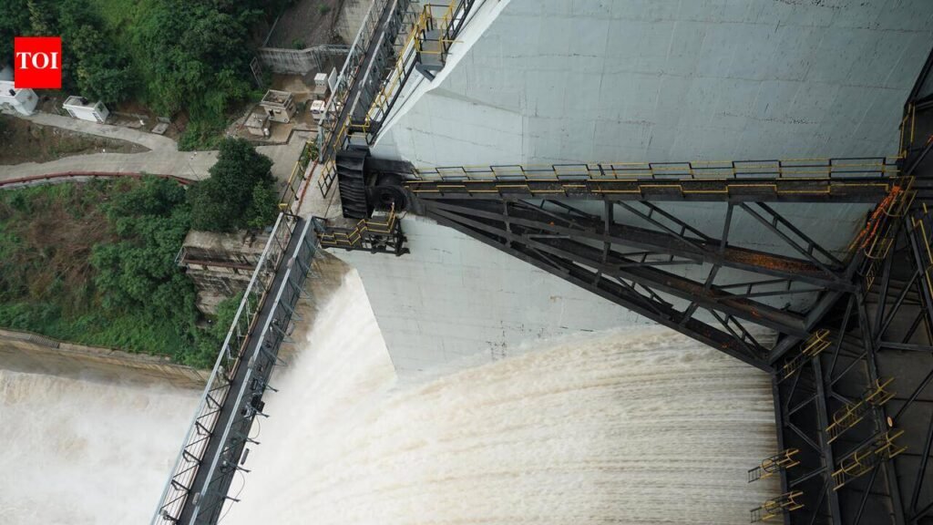 Guj proposes exchanging power for more Narmada water | Ahmedabad News