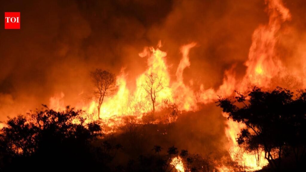 Eastern Ghats see rising wildfires, Western Ghats record 10.8% annual decline: Study | Bengaluru News