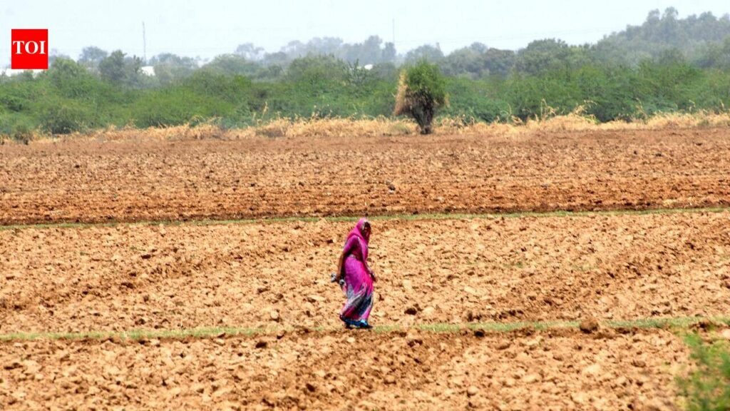 Gujarat govt approves Rs 174 crore interest subsidy for 10 lakh farmers | Ahmedabad News