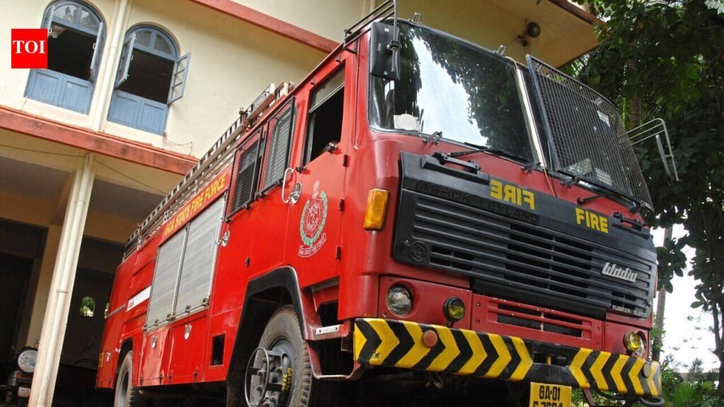Fire dept to roll out real-time digital disaster management system | Goa News