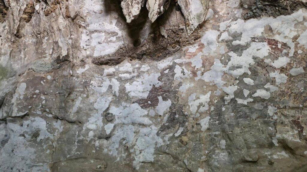 Indonesia wildfires threaten world’s oldest cave paintings