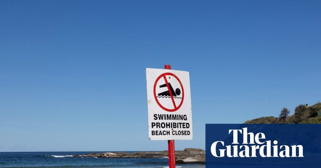 Authorities issue shark warning over whale that swam 11km upstream in Clarence River and later died | Australia news