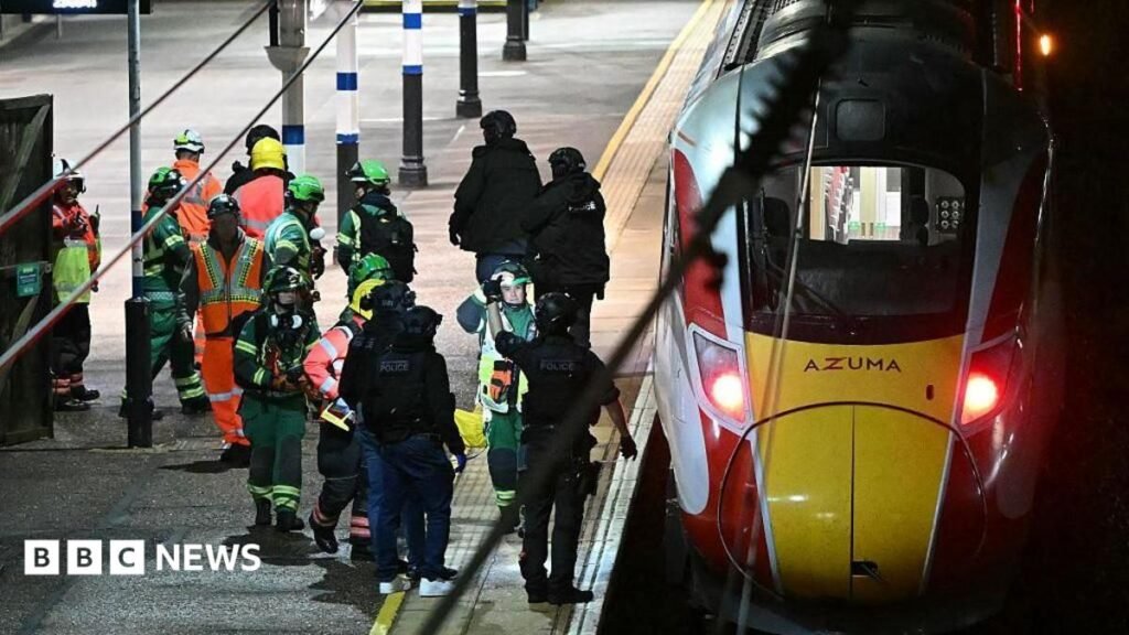 Cambridgeshire train attacker Anthony Williams admits wounding