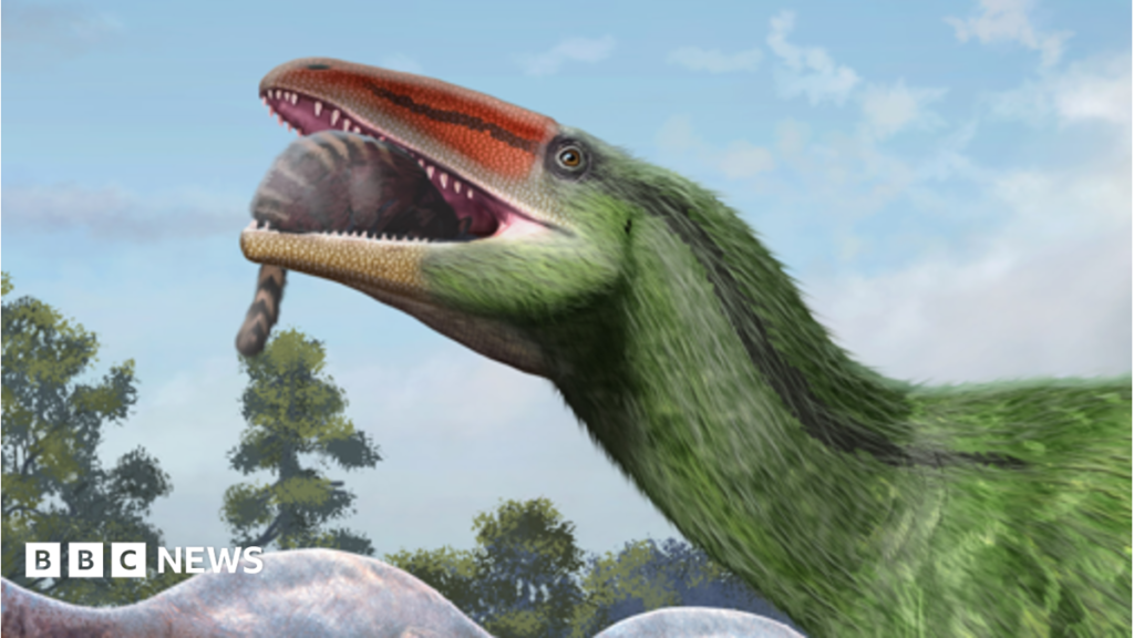 Isle of Wight fossil identified as new dinosaur species