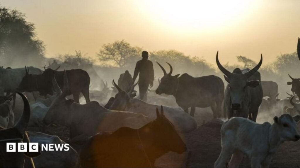 South Sudan cattle raids: Co-oridanted attacks kill at least 72 people in Warrup state