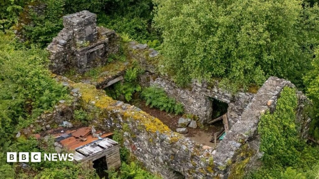 Gwynedd house with no roof up for auction for £17k