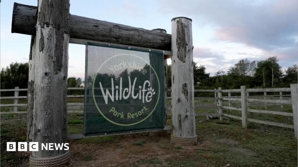 Yorkshire Wildlife Park reopens after man killed by tiger