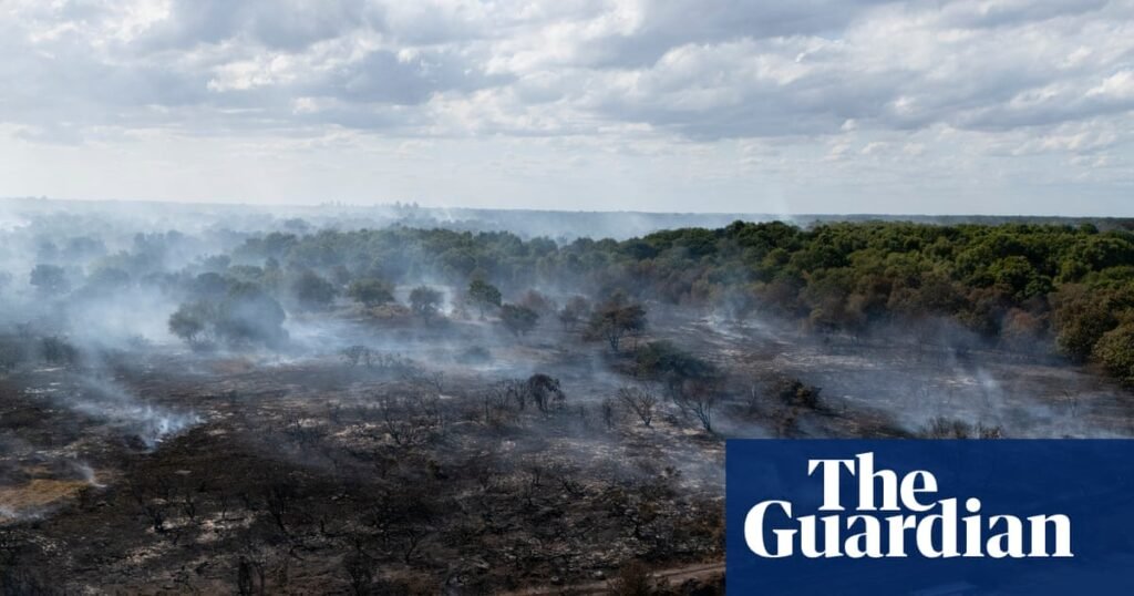 Revealed: Government quietly dropped plan to prepare England for wildfires | Wildfires