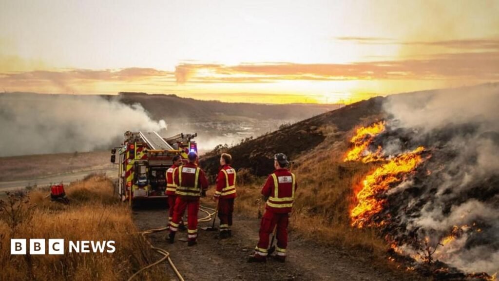 Firefighters ‘knowingly put at risk’ during summer wildfires