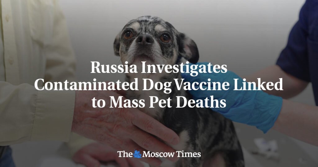 Russia Investigates Contaminated Dog Vaccine Linked to Mass Pet Deaths