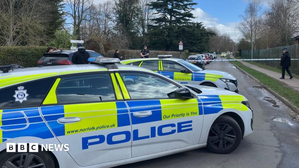 Norfolk school stabbing trial hears from defendant’s mum