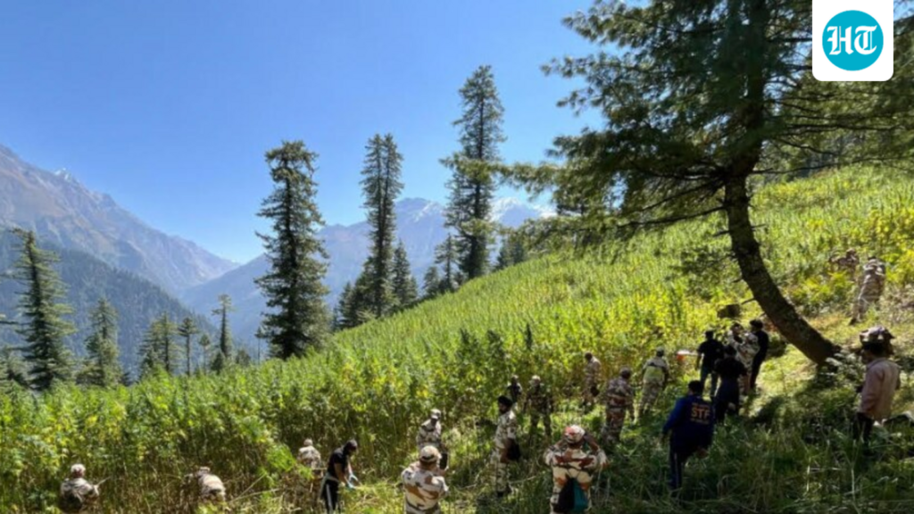 Himachal Pradesh’s Parvati Valley sees a multi-agency anti-drug operation. What we know