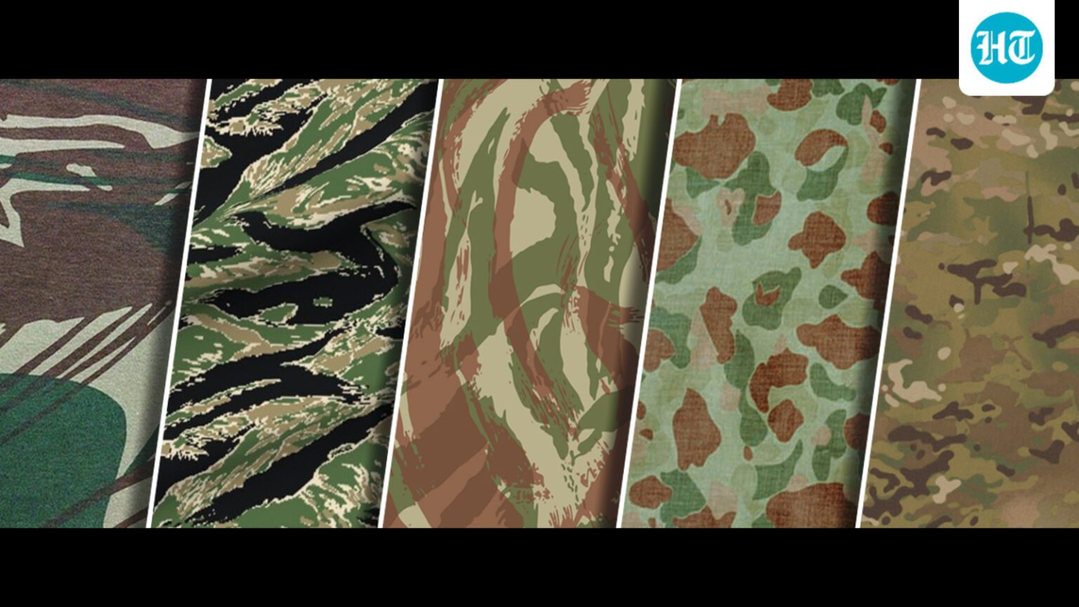 Now you see them… now you don’t?: The evolution of camouflage