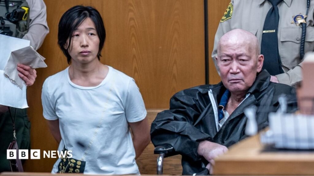 California pair charged with abusing at least 14 surrogate-born children