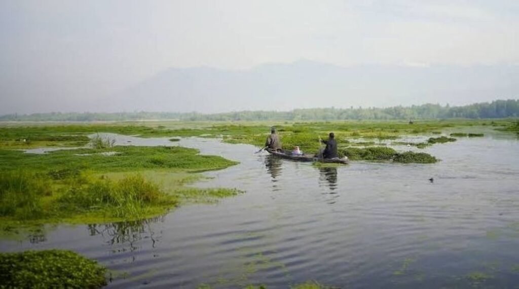 Anchar Lake Cannot Be Allowed to Disappear