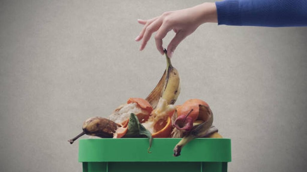 Science for All newsletter: Food waste, a major contributor to climate change